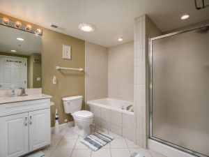 aventura203-12-primary-bath.jpg