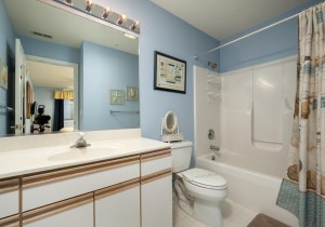 harbourtowne202b-20-primary-bath.jpg