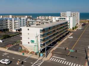 angelfish205-1-exterior.jpg
