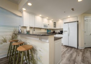 adagio409-19-kitchen.jpg