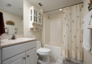 adagio507-23-bath-3.jpg