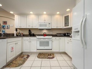 adagio507-8-kitchen.jpg