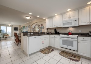 adagio507-9-kitchen.jpg