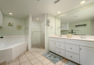 adagio508-15-primary-bath.jpg