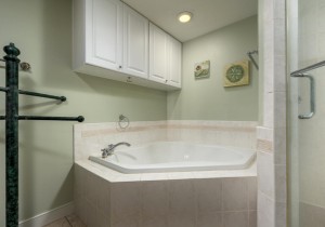 adagio508-16-primary-bath.jpg