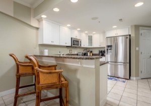 adagio508-9-kitchen.jpg