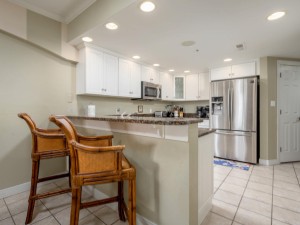 adagio508-9-kitchen.jpg