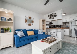 condesa302-12-living-area.jpg