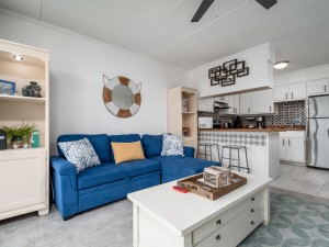 condesa302-12-living-area.jpg