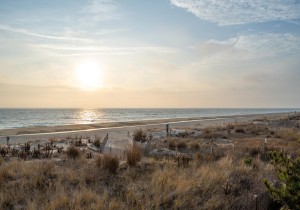beachhouse101-3-view.jpg