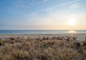 beachhouse101-4-view.jpg