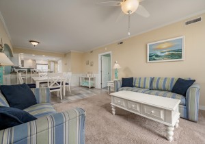 adagio307-13-living-area.jpg