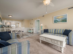 adagio307-13-living-area.jpg