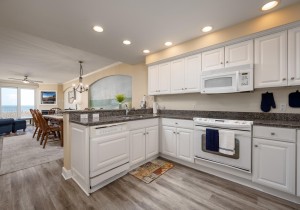 adagio202-10-open-floor-plan.jpg