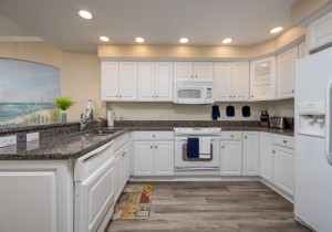 adagio202-11-kitchen.jpg