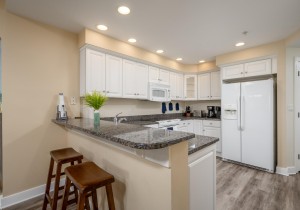 adagio202-12-kitchen.jpg