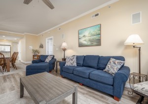 adagio202-14-living-area.jpg