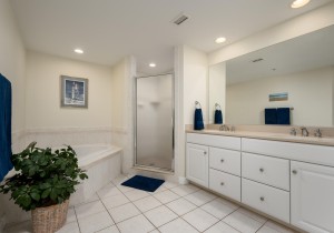 adagio202-18-primary-bath.jpg