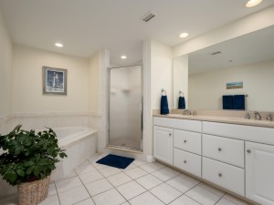 adagio202-18-primary-bath.jpg