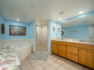adagio305-19-primary-bath.jpg