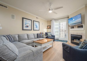 adagio305-2-living-area.jpg