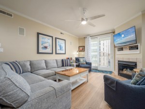 adagio305-2-living-area.jpg