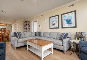 adagio305-8-living-area.jpg