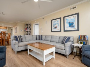 adagio305-8-living-area.jpg