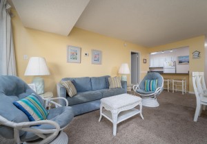 braemar314-12-living-area.jpg