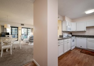 braemar314-9-open-floor-plan.jpg