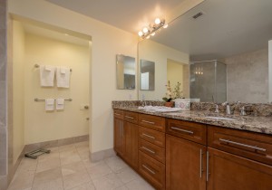 gateway214-17-primary-bath.jpg