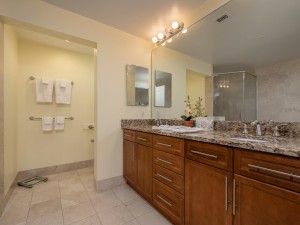 gateway214-17-primary-bath.jpg