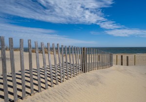beachwalk7-11.jpg