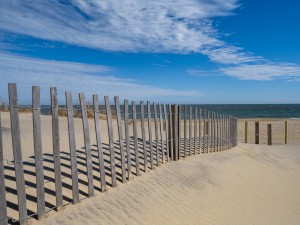 beachwalk7-11.jpg