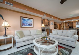 carlye301-17-living-area.jpg
