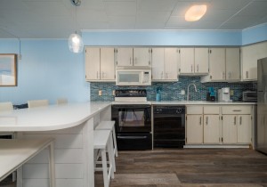 geaorgetown201-13-kitchen.jpg