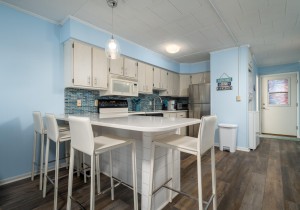 geaorgetown201-14-kitchen.jpg