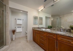 gateway1707-16-primary-bath.jpg