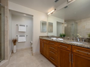 gateway1707-16-primary-bath.jpg
