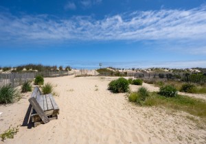 sungate203-2-walkway-to-beach.jpg