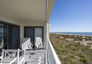 summersea2m-5-new.jpg