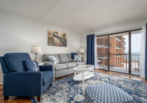 pontevista309-10-living-area.jpg