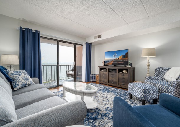 pontevista309-11-living-area.jpg