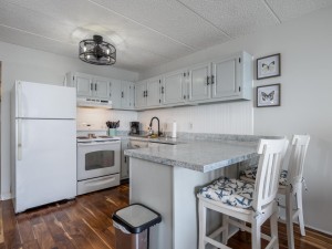 pontevista309-14-kitchen.jpg
