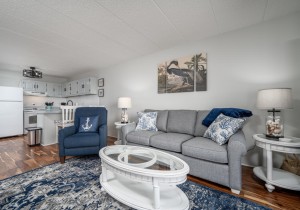 pontevista309-16-open-floor-plan.jpg