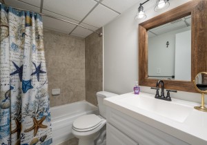 pontevista309-20-bath.jpg