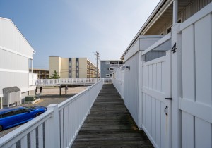beachwalk4-7.jpg