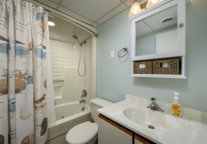 waves204-16-primary-bath.jpg
