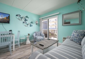 decaturhouse201-8-living-area.jpg