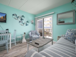 decaturhouse201-8-living-area.jpg